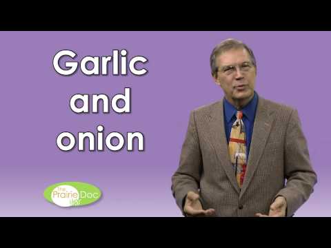 "Hateful halitosis" ; By Richard P. Holm - 0 13 1